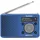 TechniSat DAB+ Radio DIGITRADIO 1 INFORADIO-Edition
