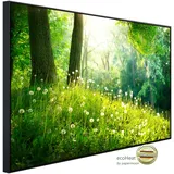 Papermoon Infrarot-Bildheizkörper Grünes Gras und Bäume", (80 x 60 cm, 450 W,