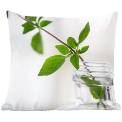 MuchoWow Dekokissen Ein einzelner Oregano-Zweig in einem Glasgefäß in einer hellen, Zierkissen, Wohnaccessoires, Deko, Hochwertiger Qualität, Sofakissen bunt