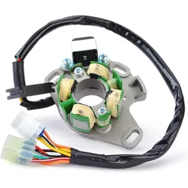 xiangjin Statorspule für Motorrad Lichtmaschine