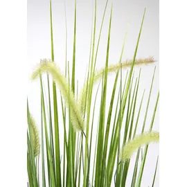 Flair Flower Künstliches Fuchsschwanzgras mit Übertopf Gras Kunstpflanze Kunstgras Ziergras Grünpflanzen Dekogras Grasbüschel Ziergras Solitärgras Deko Borstenhirse Süßgräser Federborstengras Lampenputzergras