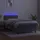 vidaXL Boxspringbett 100 x 200 cm Hellgrau