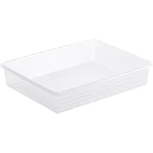 Rotho Aufbewahrungskorb Linus A4 34,5 x 24 x 10 cm transparent