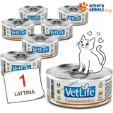 Farmina Vet Life Convalescence 6 x 85 g