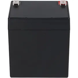 Fiamm FG20451 Pb 12V 4500 mAh 1 St.