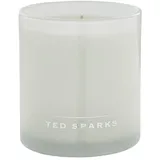 ted spakrs Ted Sparks Demi Fresh Linen Duftkerze im Glas, Höhe: 16 cm, Durchmesser: 15 cm, TED-D-CW02