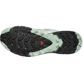 Salomon XA Pro 3D V9 GTX Damen Quiet Shade/Lily Pad/Blue Haze 40 2/3