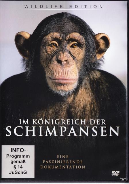 Im Königreich Der Schimpansen (DVD)