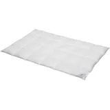 BettwarenShop Comfort warm, Füllung: 60% Daunen, 40% Federn 155x220 cm