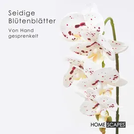 Homescapes Kunstblume, Orchidee weiß-pink im Deko-Topf, 56 cm,