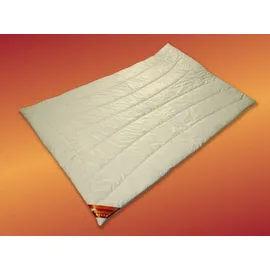 Garanta Kamelhaar Decke Duo Warm Steppbett Winterdecke Größe 155x200 cm*)