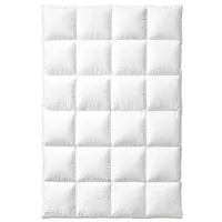 Kauffmann Elegance 700 Daunendecke warm - 155x200cm