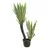 Europalms Orchideen-Kaktus, 160cm