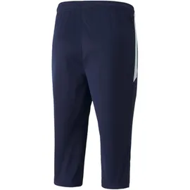 Puma teamLIGA Training 3/4 Pants 657271