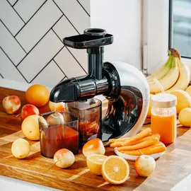 Adler AD 4130 Entsafter für Obst und Gemüse, langsamlauftende elektrische Saftpresse