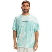 QUIKSILVER Td Frog Ritual SS Tee - T-Shirt Gr.