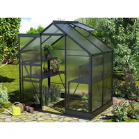 Vitavia Gewächshaus Apollo 2500 Schwarz 5 m2 inkl. Fundament