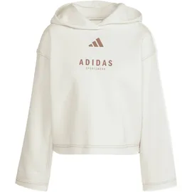adidas All Szn Loose Graphic Kapuzenpullover Off White M