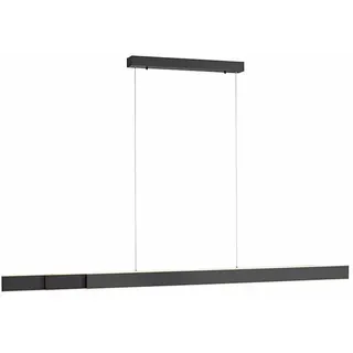 Paul Neuhaus Neuhaus PURE LED-Pendelleuchte Pure Lume Alu, Eisen, Stahl & Metall Grau Anthrazit