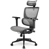 Sharkoon OfficePal C40M Gaming-Stuhl Grau