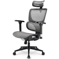 Sharkoon OfficePal C40M Gaming-Stuhl Grau