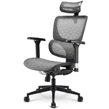 Sharkoon OfficePal C40M Gaming-Stuhl Grau