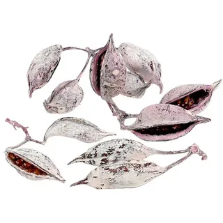 Trockenblume Brachyciton Brombeer Gefrostet Trauergesteck Deko 500g, Viana