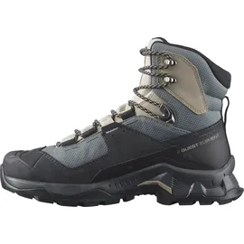 Salomon Quest Element GTX Damen Ebony/Rainy Day/Stormy Weather 38 2/3