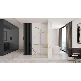 REA Duschwand Cortis Gold 120