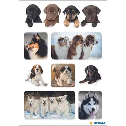 HERMA Aufkleber Hunde