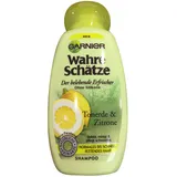 Garnier Wahre Schätze Tonerde & Zitrone 250 ml