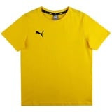 Puma teamGOAL 23 Casuals Tee Jr T-shirt Cyber Yellow 164