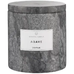 Duftkerze Frabli - 100% nachhaltiger Sojawachs, L Magnet Duft: Agave