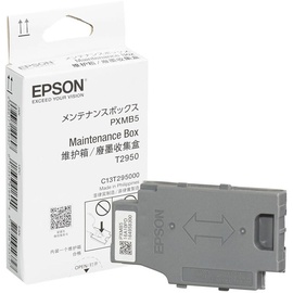 Epson C13T295000