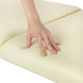 MuCoLa Massageliege Massagetisch Massagebank 2 Zonen klappbar Kosmetikliege Alu