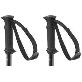 Salomon Polar Access Black 110