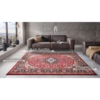 HANSE HOME Nouristan Mirkan Orient Teppich Skazar Isfahan Rot, 80x150cm