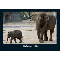 Vero Kalender Elefanten 2026 Fotokalender DIN A4 von Tobias