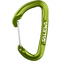 Salewa Kletterkarabiner One Size Grün