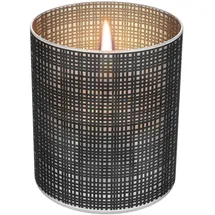 Kleining Tenderflame Tischfeuer Lilly 250 ml Tank Schwarz