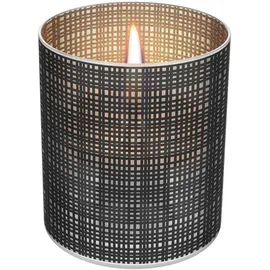 Kleining Tenderflame Tischfeuer Lilly 250 ml Tank Schwarz