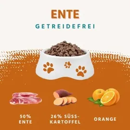 Wildfang Adult Trockenfutter Ente mit Süßkartoffel & Orange 2 x 6 kg