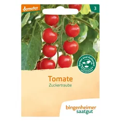 Bingenheimer Saatgut - Tomate Zuckertraube