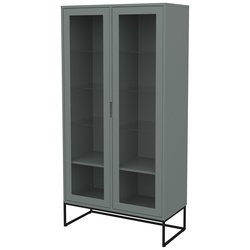 Tenzo Lipp Vitrine Spanplatte/Holzwerkstoff 90x43x178 cm - Misty Green Matte - 90