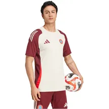 adidas Bayern München T-Shirt 2024/25 grau/rot Herren Gr. L