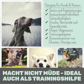 noms+ Wohlfühlmix für Hunde & Katzen bei Stress & Angst 150g