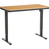 Beliani Schreibtisch elektrisch höhenverstellbar PENLY Schwarz / Hellbraun 120 cm 60 cm mit USB-Anschluss