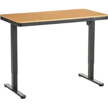 Beliani Schreibtisch elektrisch höhenverstellbar PENLY Schwarz / Hellbraun 120 cm 60 cm mit USB-Anschluss