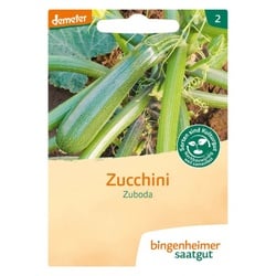 Bingenheimer Saatgut Zucchini Zuboda