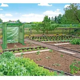 Dehner Tomatenreifehaus 190 x 170 x 80 cm